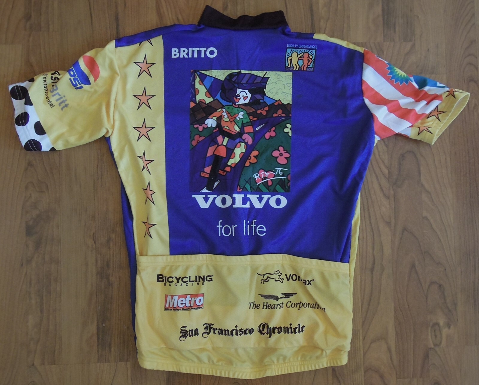 VOmax Volvo Hearst Castle Purple Full Zip Cycling Jersey-Haring-LG Best Buddies