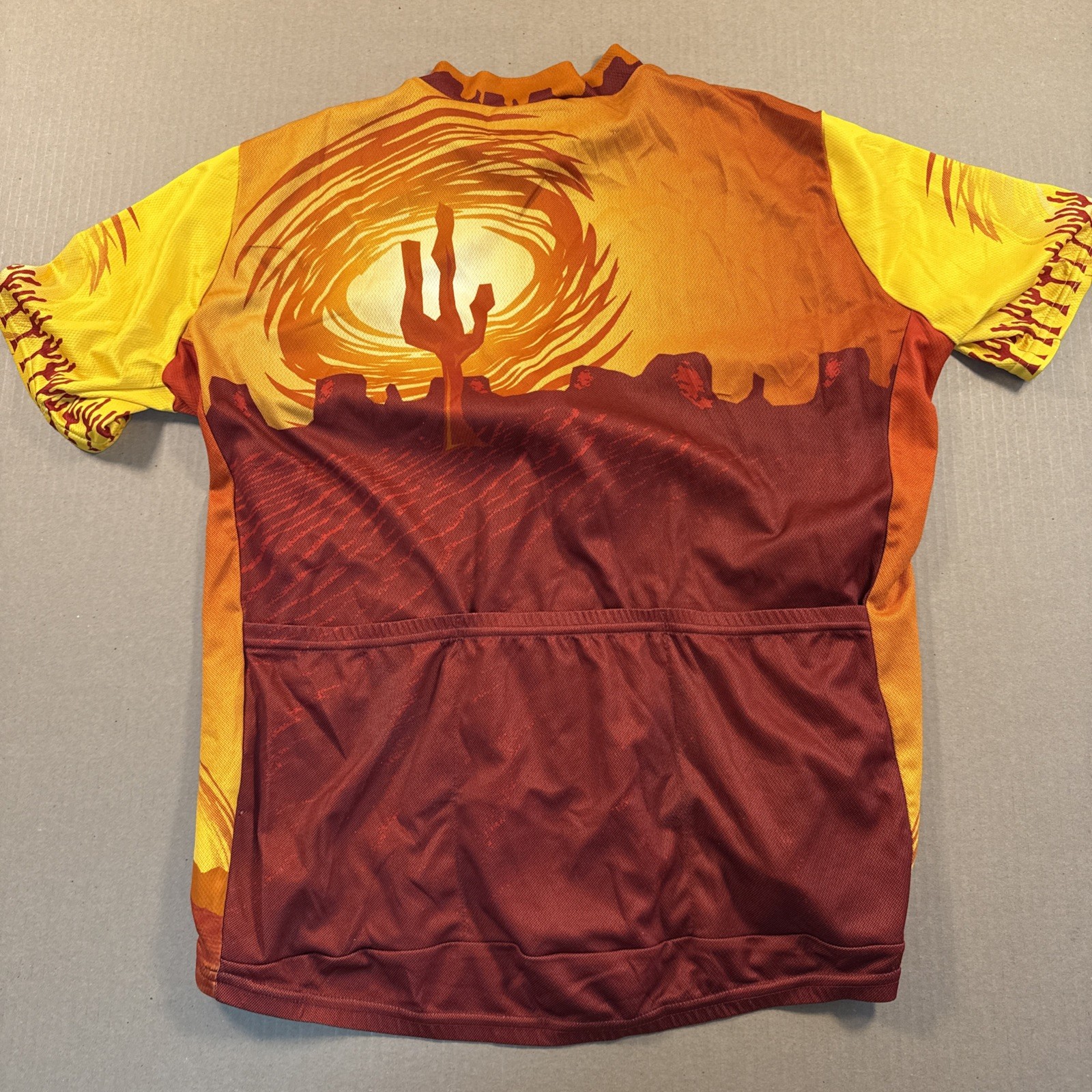 Vtg 90s Performance Cycling Jersey – XXL – Desert Graphic, Made in USA