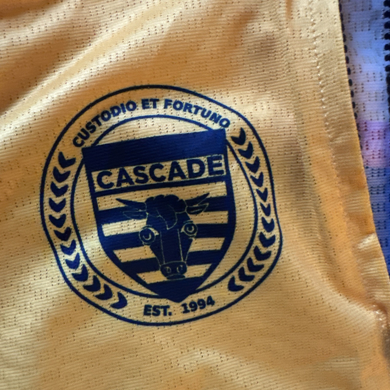 Pedal Mafia “Cascade” Custom Pro Cycling Jersey – Men’s Medium