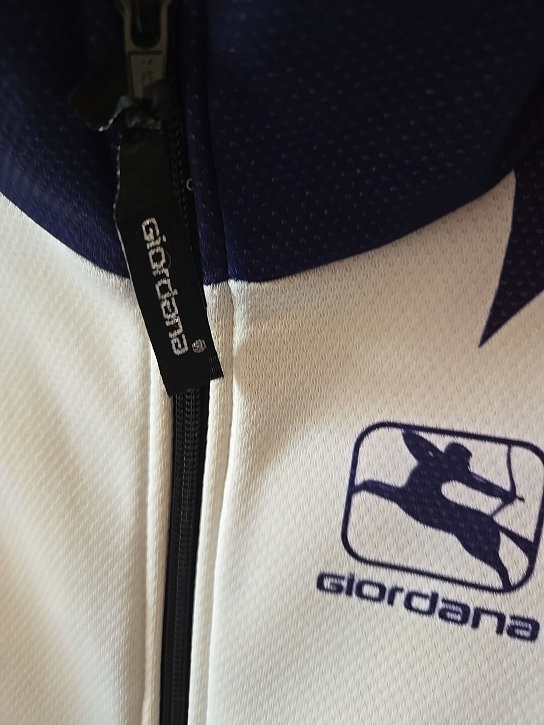 Giordana Wind-tex Cycling Jacket Sz Large Full Zip Waterproof Gabriele Chesini