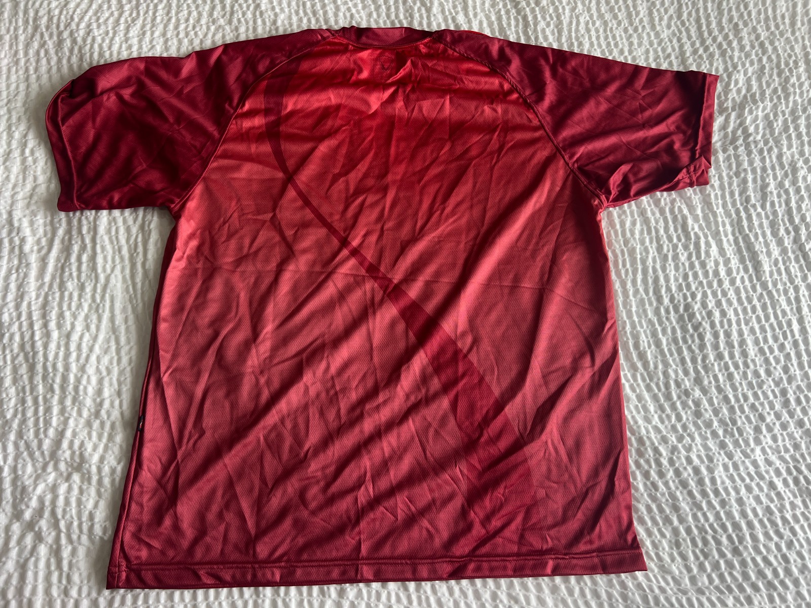 RAGBRAI XXXVII MEN’S DRY BODY XL HINCAPIE Red Iowa Bike Ride Cycling Jersey NWT