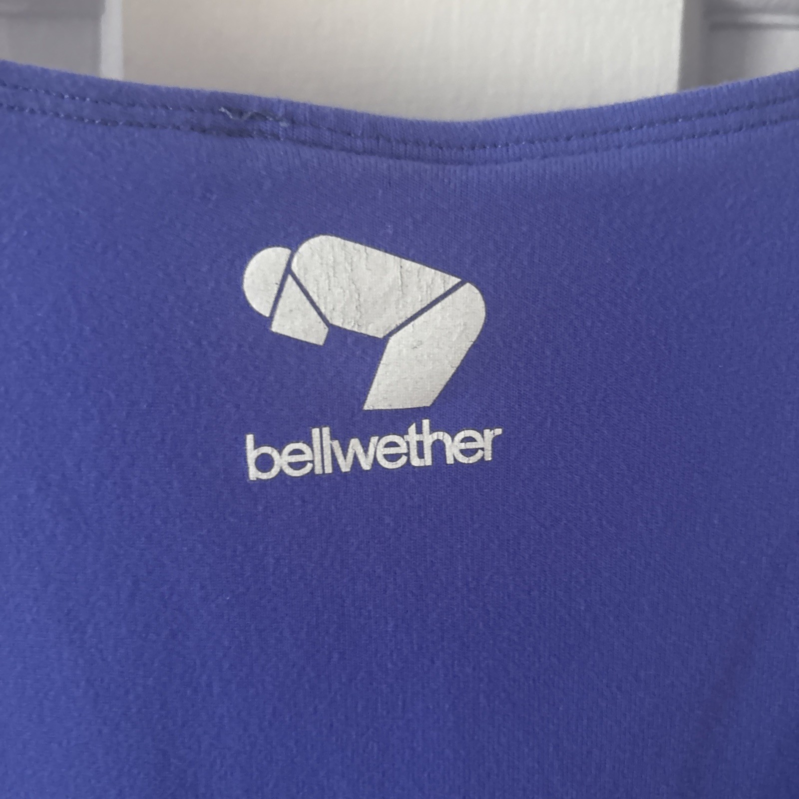 Bellwether Women’s Cycling Tank Top Purple Size M With Back Pockets