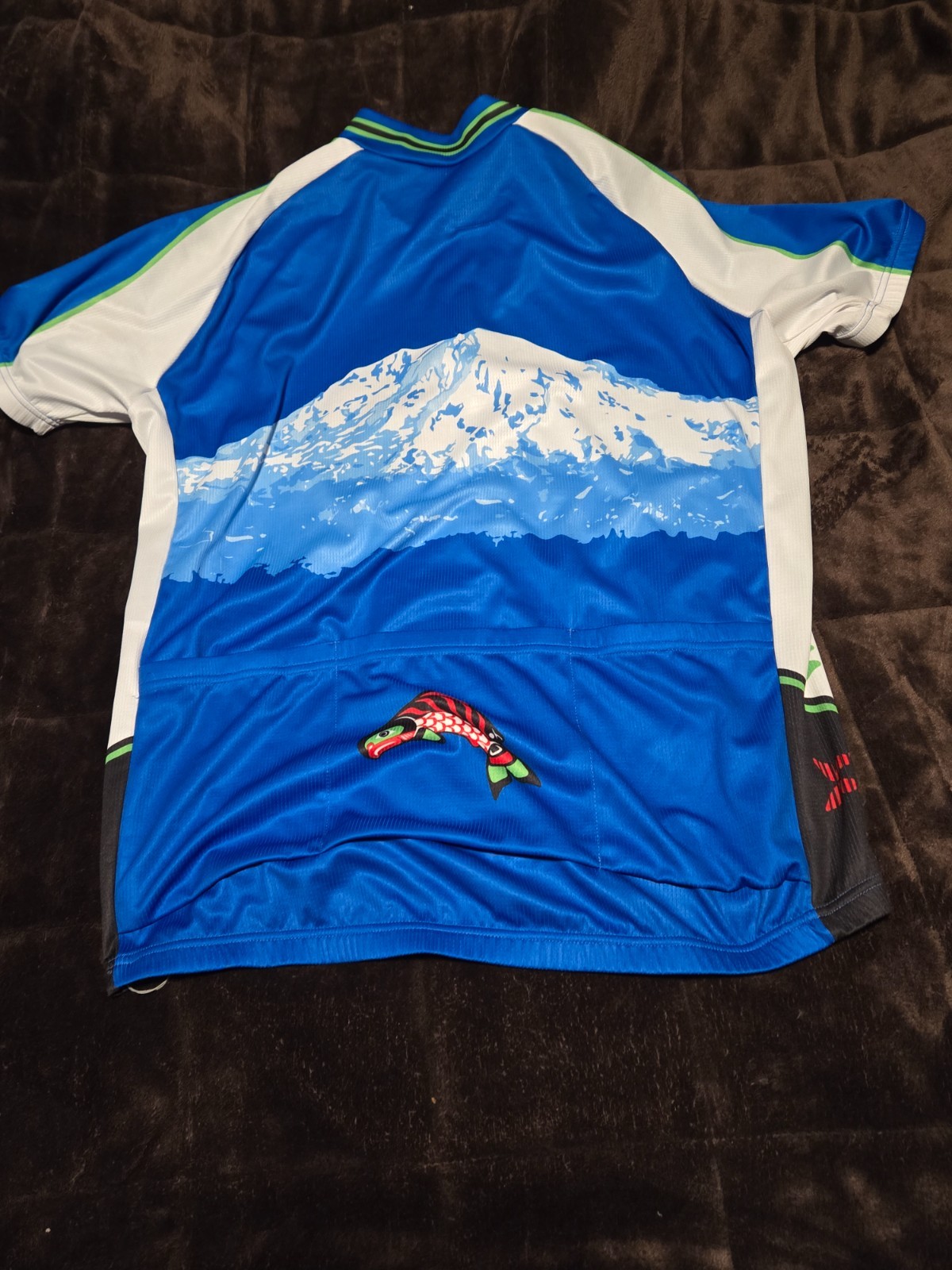 Washington Cycling Jersey w back Pockets Mens Large- Mount Rainier