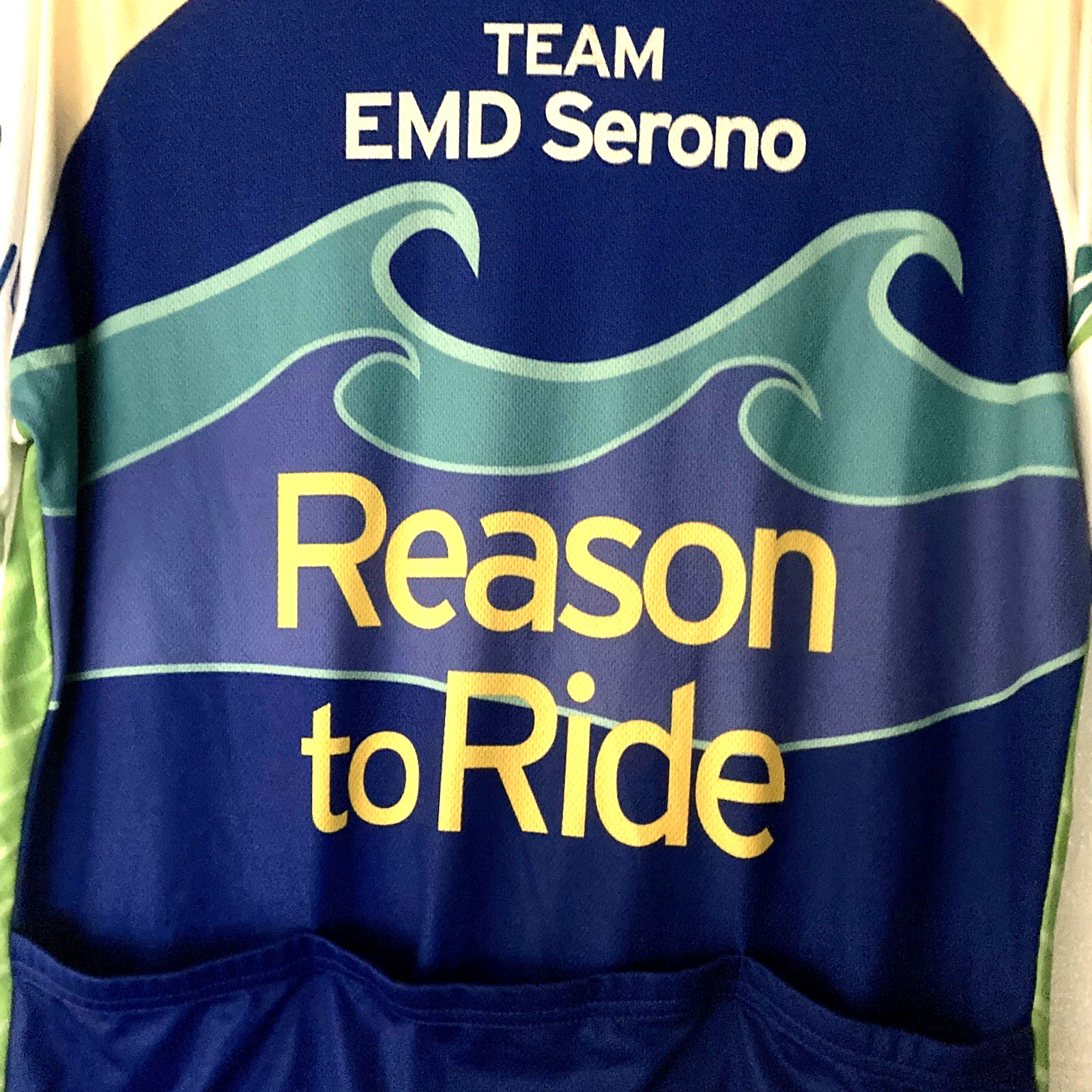 Men’s Cycling Jersey Team EMD Serono L Short Sleeve Vomax Pfizer Zip Shirt