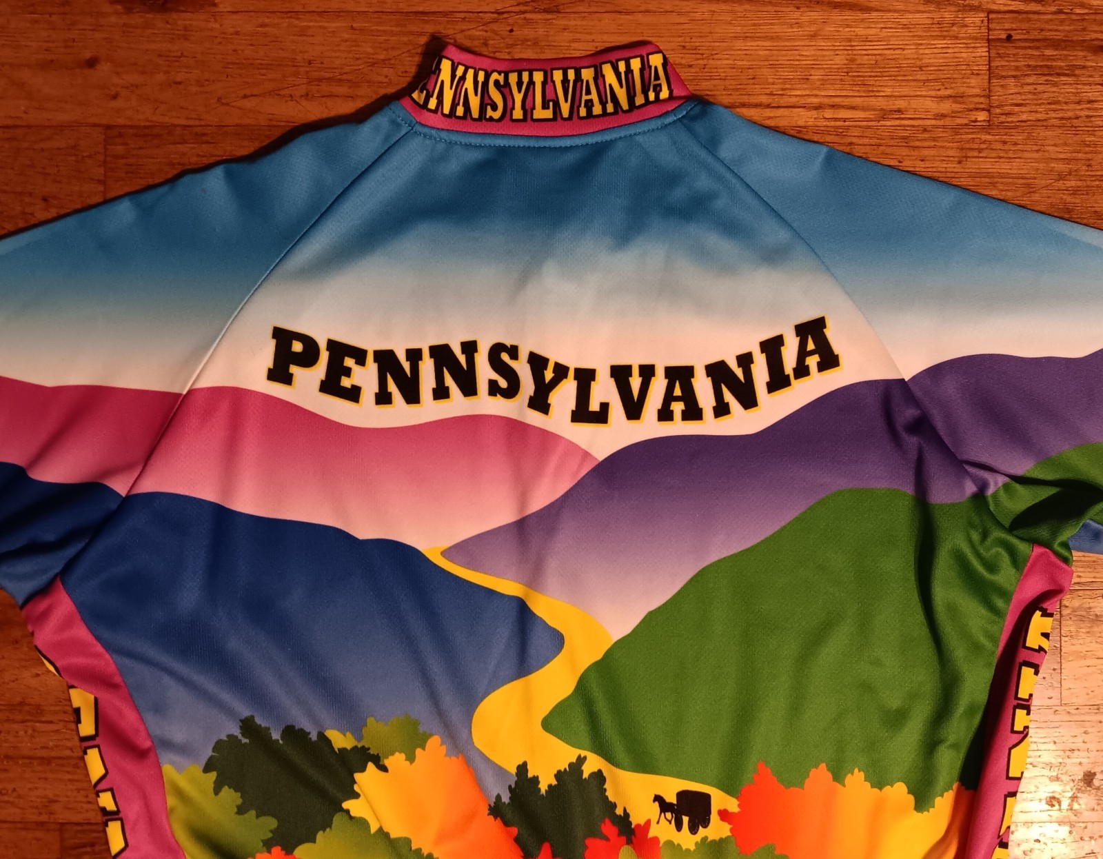 Free Spirit Wear Pennsylvania Short Sleeve Cycling Jersey UPF 3 Back Pockets