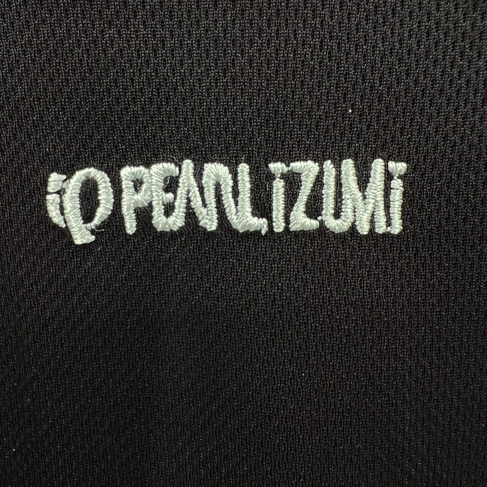 PEARL IZUMI Women’s L Black Long-Sleeve 1/2-Zip Cycling Jersey Shirt Embroidered