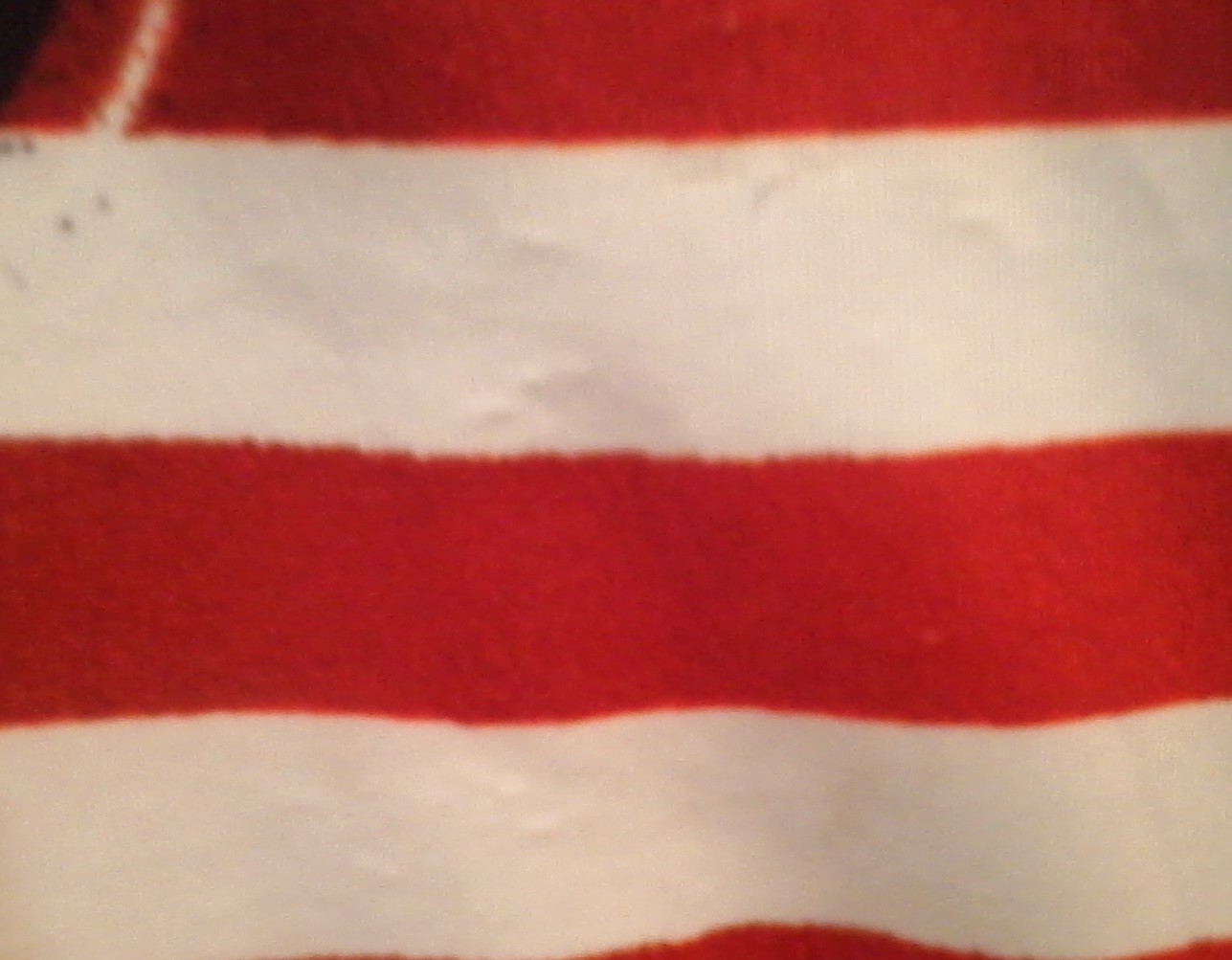 Primal Wear Flame Out USA Flag Biking Cycling Jersey Jacket Light Weight Large