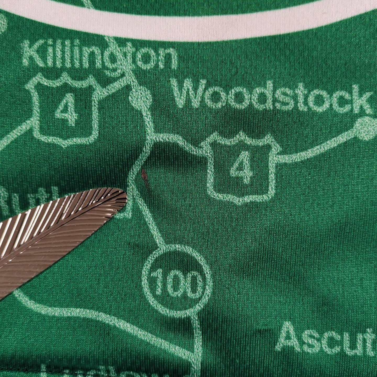 Louis Garneau Cycling Jersey Men’s Green Bike Vermont Road Map Wheel 41″ Chest