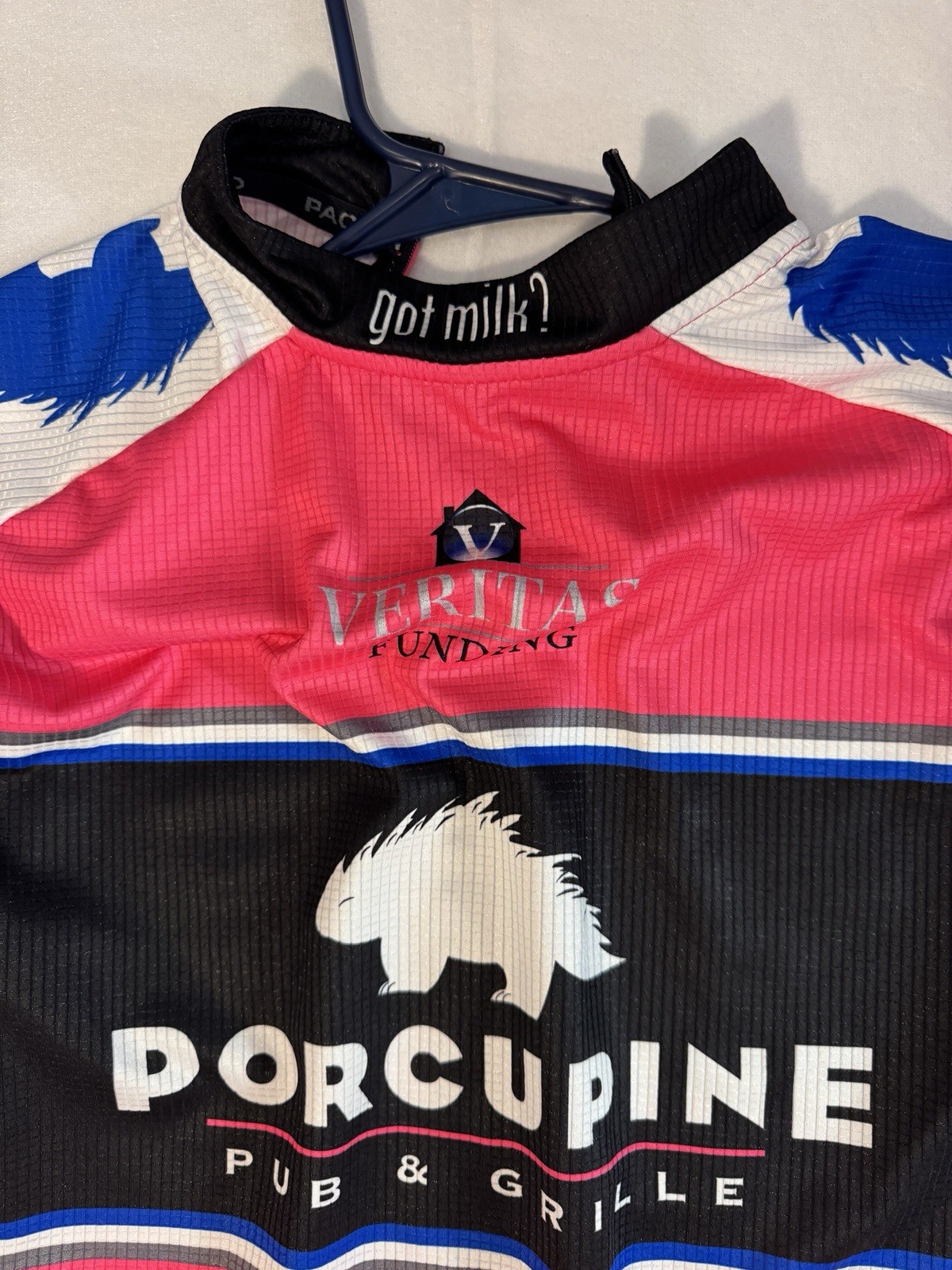 Pactimo Men’s XL Cycling Jersey Full Zip Pockets Porcupine Graphic Mock Neck