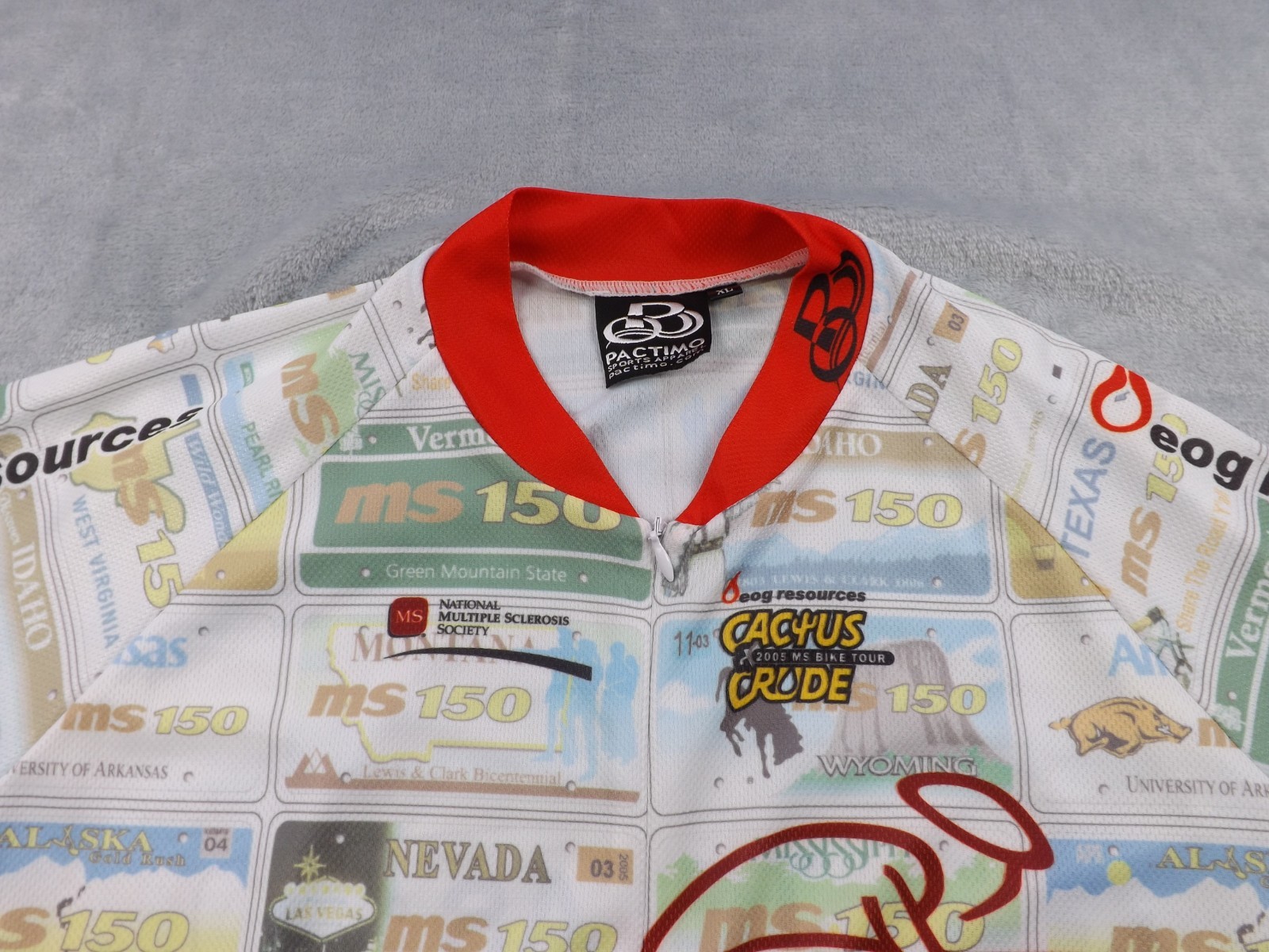 Pactimo Sports Cycling Shirt VTG Men’s Size XL Multi Color 3/4 Zip Back Pockets