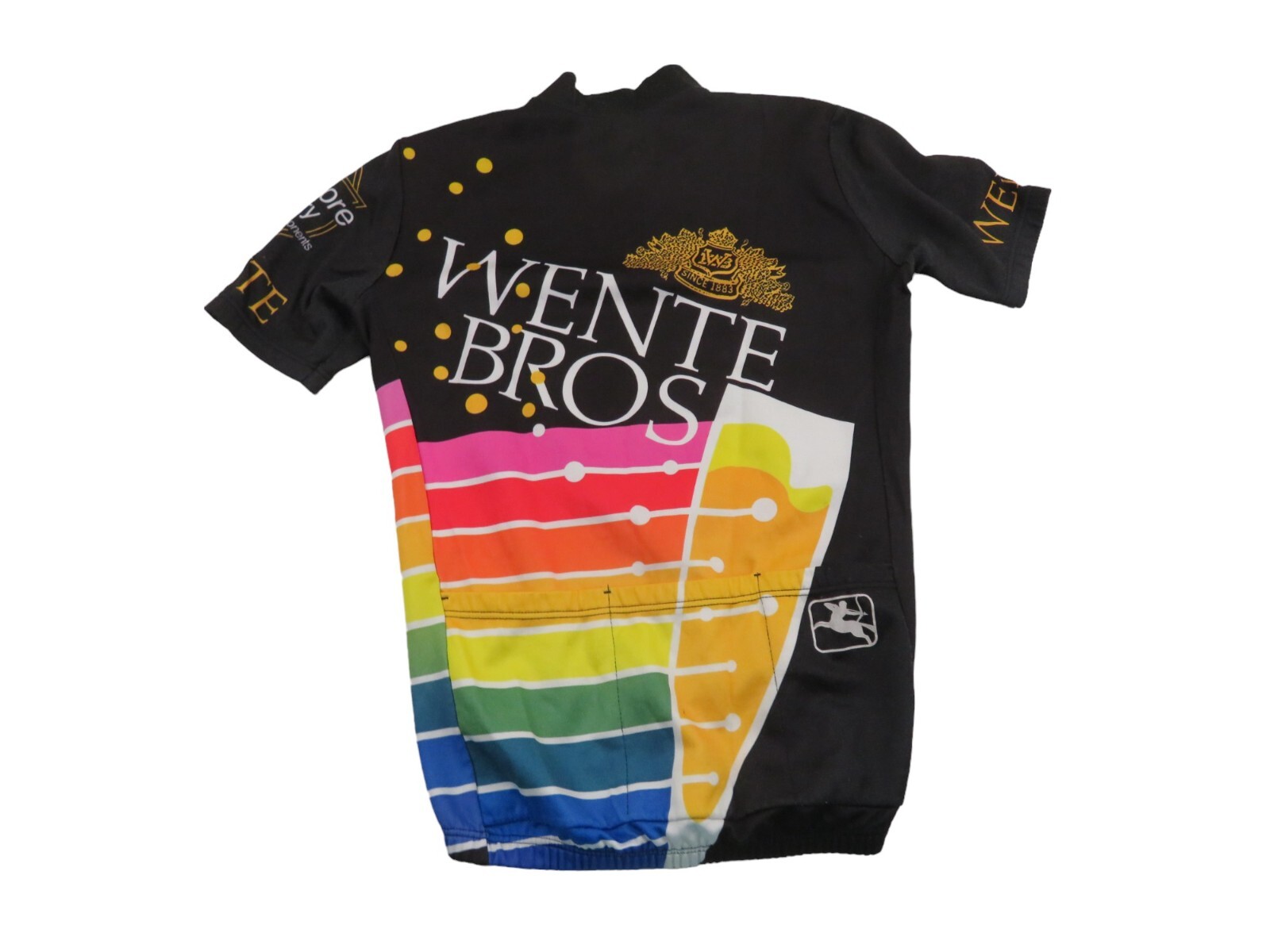 Vintage 80s 90s Giordana Wente Bros Rainbow Pro Cycling Bike Jersey Mens 3 Small