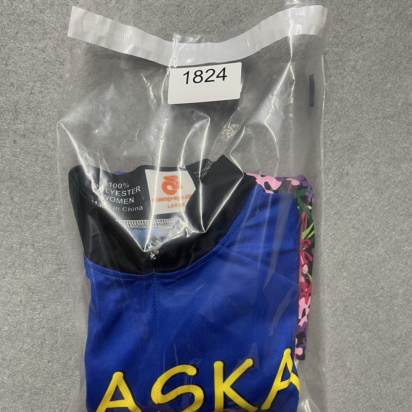 Alaska Cycling Jersey Womens Large Blue 1/2 Zip Colorful Panorama Short Sleeve