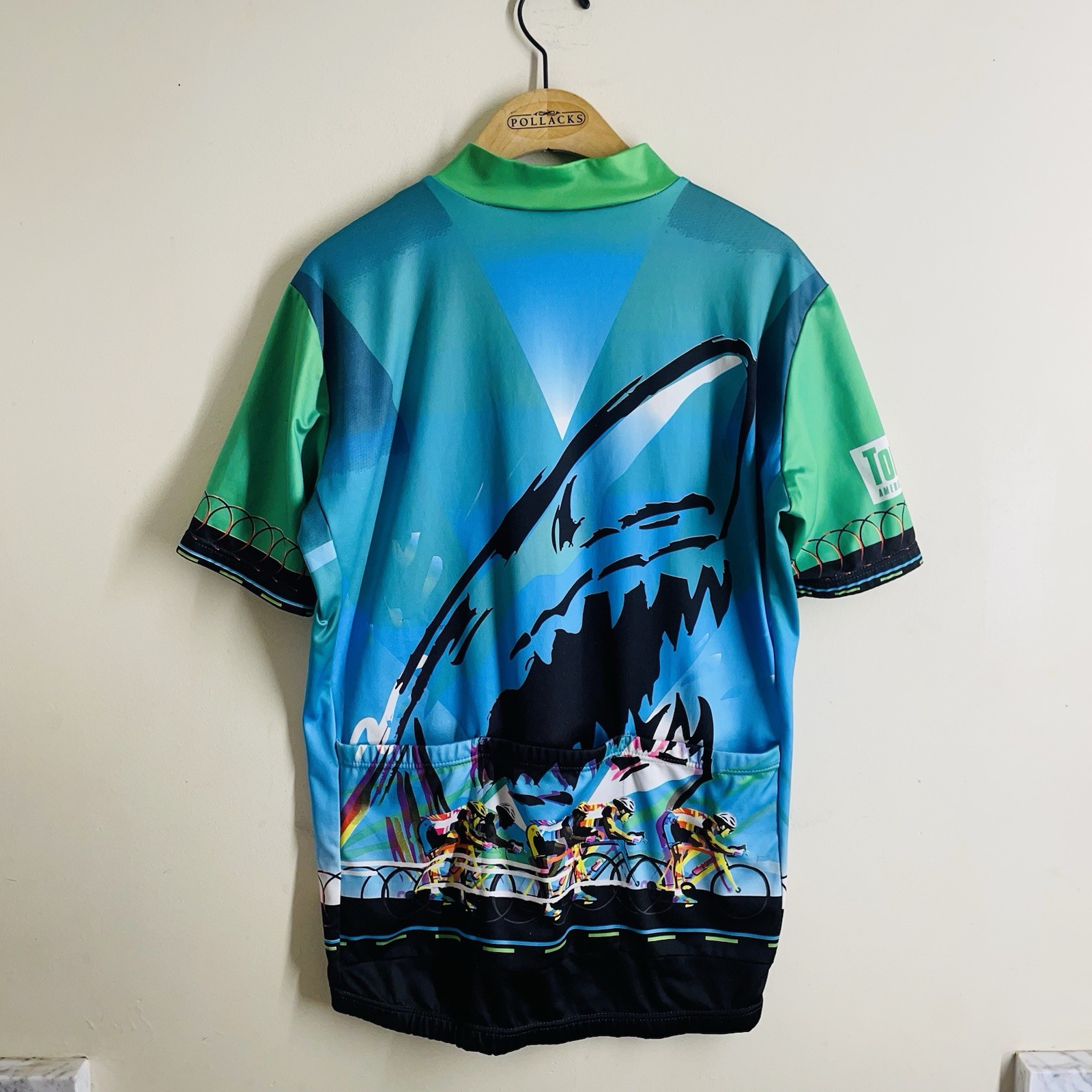 Giordana DuPont Cycling Jersey mMen’s L Blue Green Shark 1/4 Zip Race Bike USA