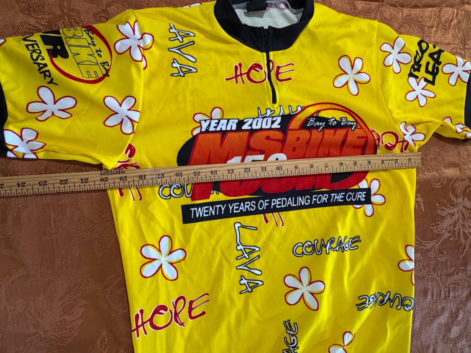 VTG Cycling Jersey (set of 2) LARGE MS Bike Tour made in USA