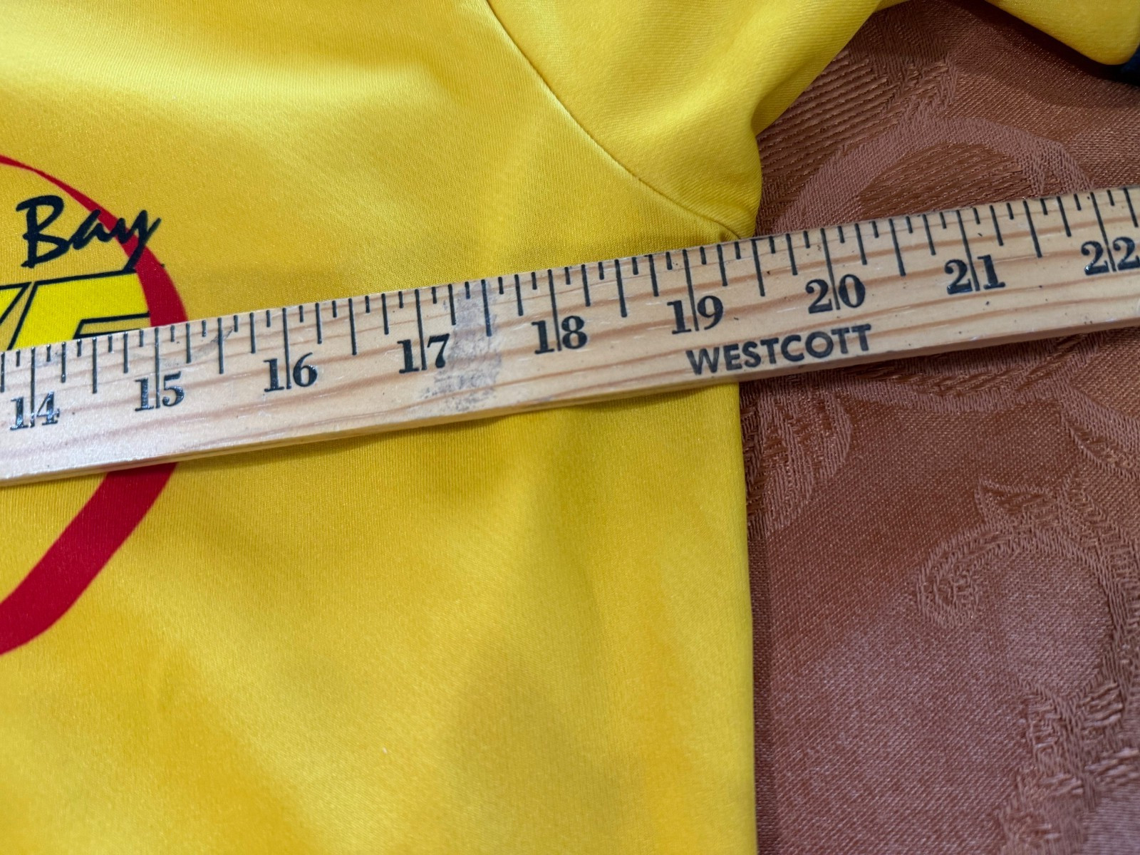VTG Cycling Jersey (set of 2) LARGE MS Bike Tour made in USA