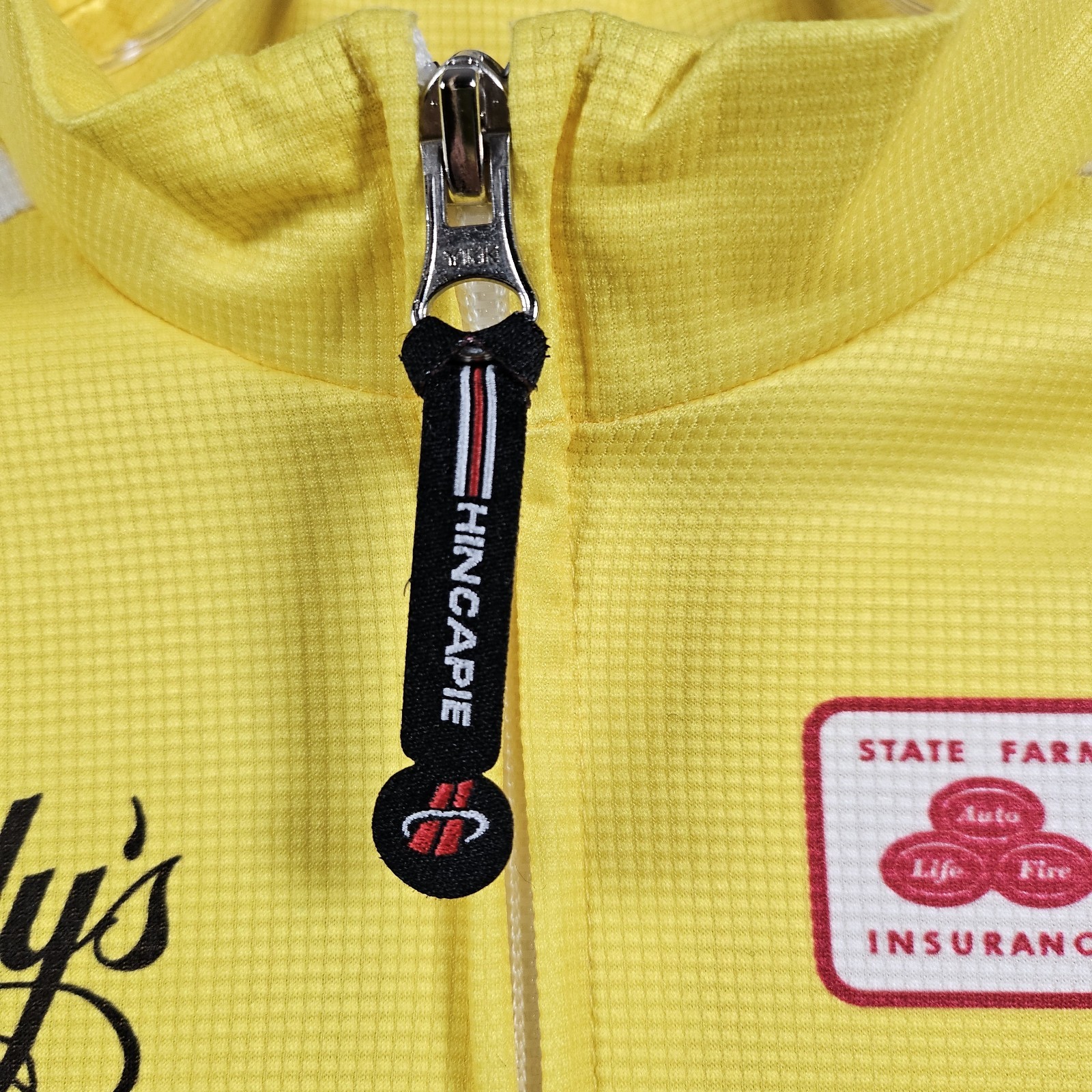 Hincapie Sportwear Medium Mens Cycling Long Sleeve Jersey Winter Team ‘Erica’
