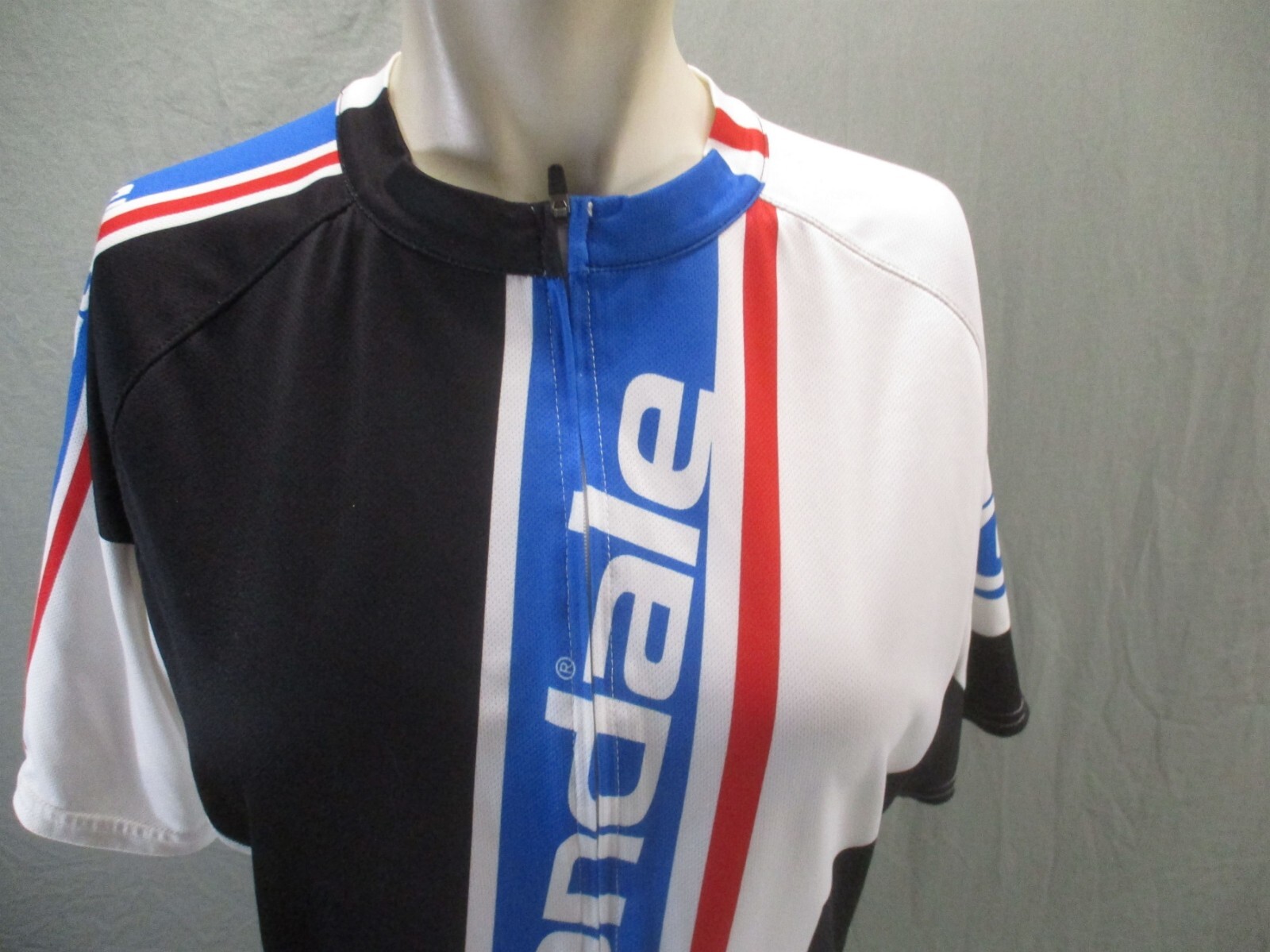 Cannondale Size M Men Full Zip Pocket Elastic Waist Short Sleeve Cycling Top 228