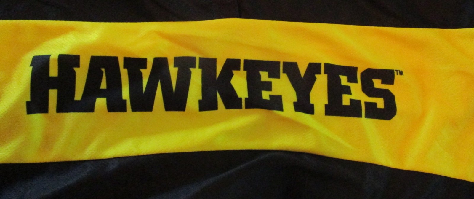Primal Iowa Hawkeyes cycling Jersey size L tiger hawk pre-owned