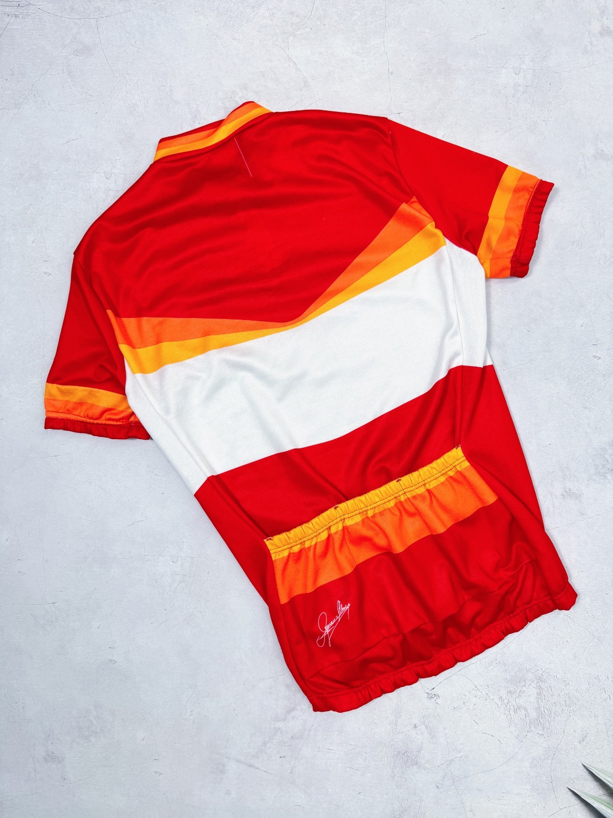 Vintage SEB Cycling Jersey Francesco Moser Signature Back Logo size Medium