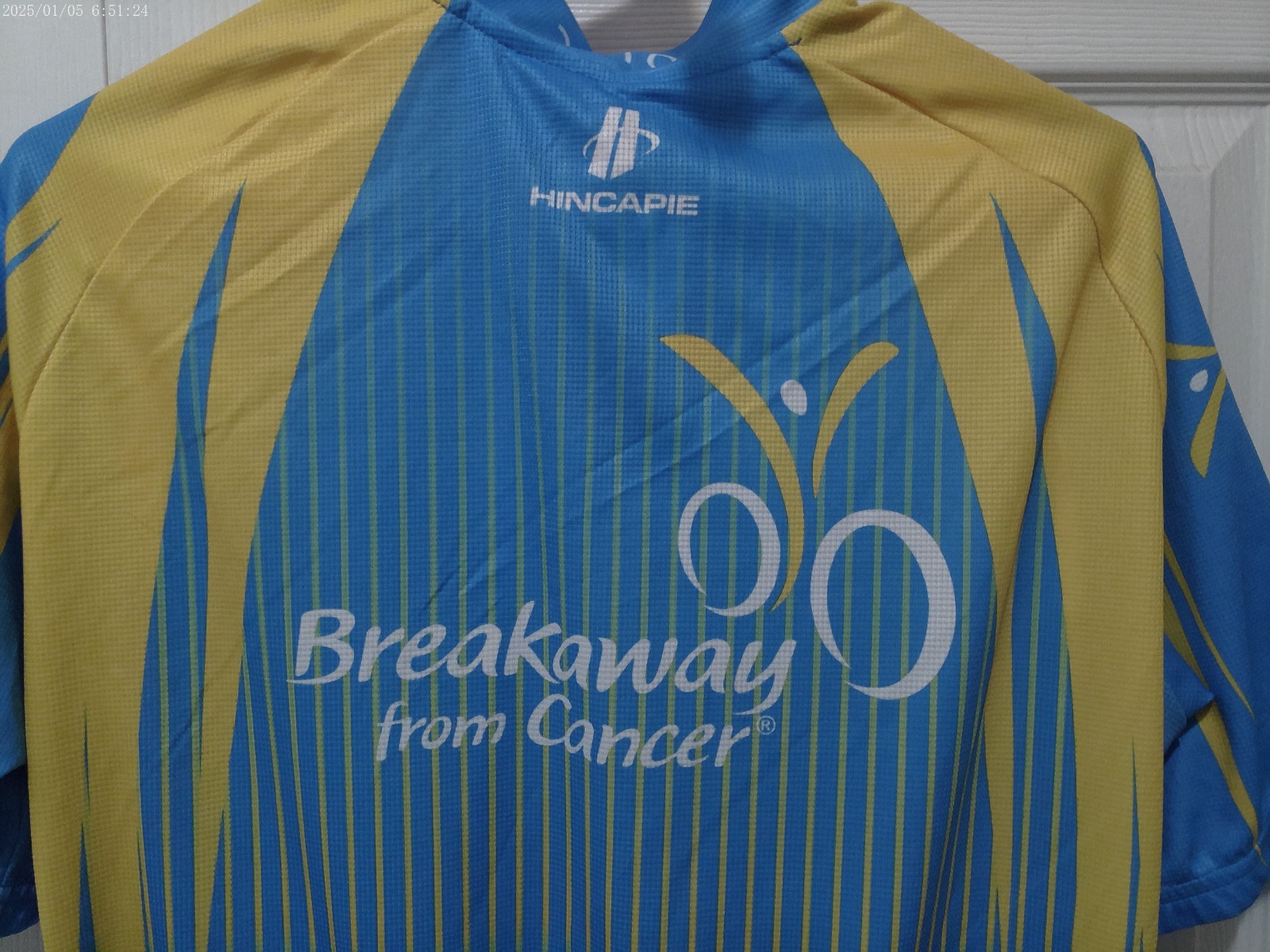HINCAPIE 2010 Amgen Tour of California Cycling Jersey “Breakaway From Cancer”