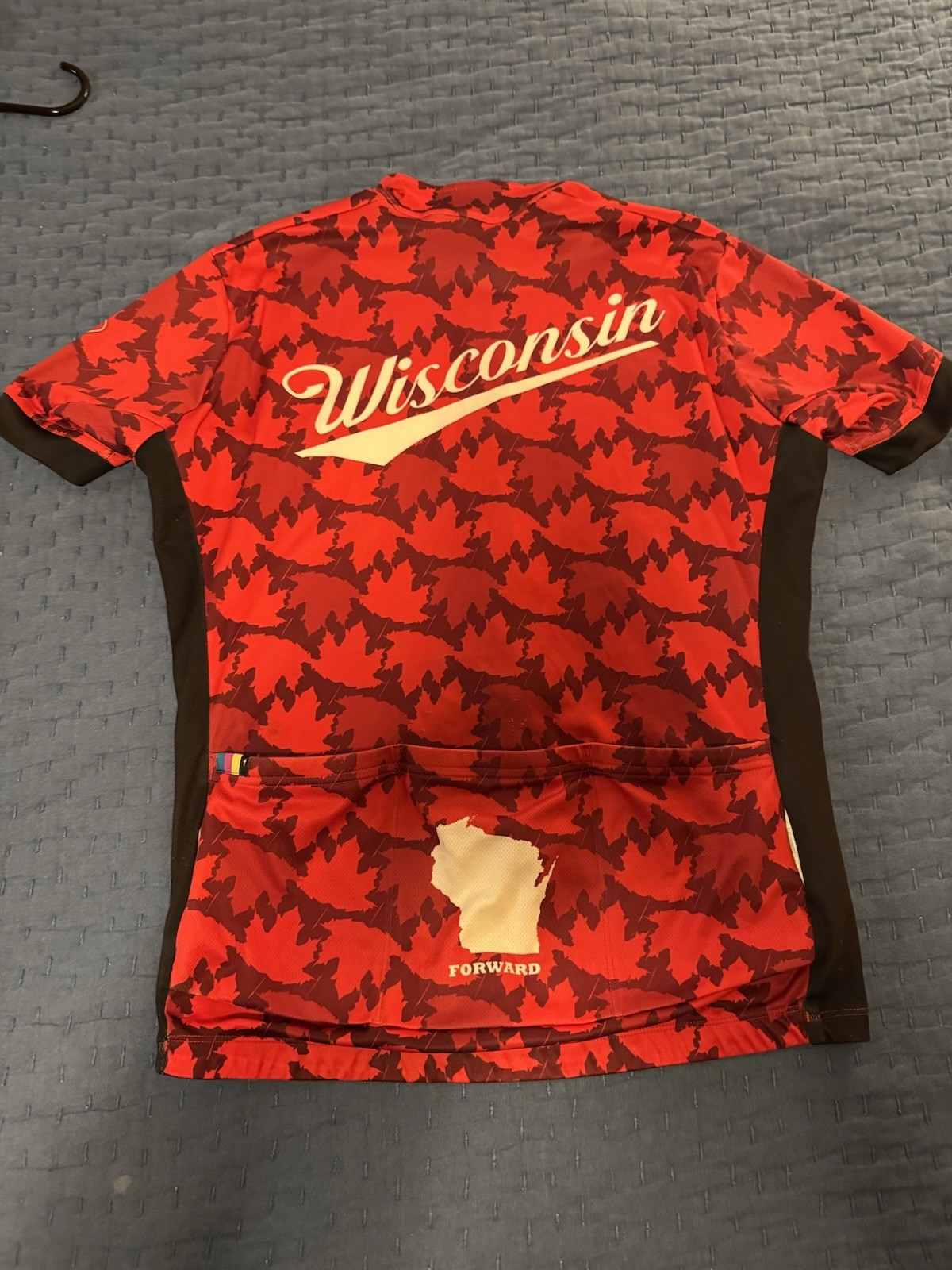Specialized Wisconsin Bike Jersey, Large