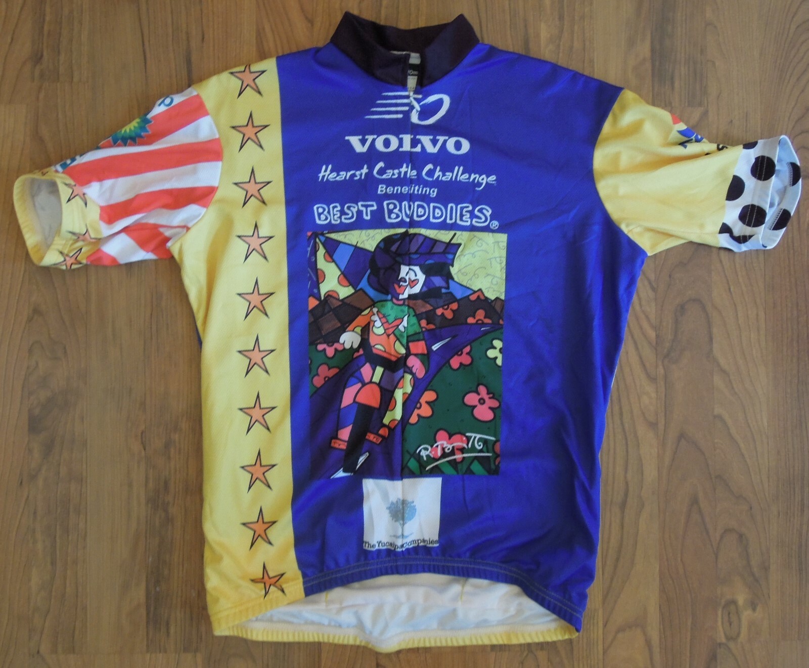 VOmax Volvo Hearst Castle Purple Full Zip Cycling Jersey-Haring-LG Best Buddies