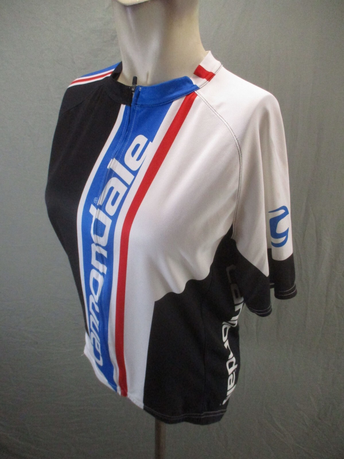 Cannondale Size M Men Full Zip Pocket Elastic Waist Short Sleeve Cycling Top 228