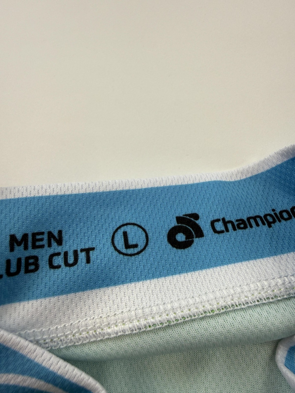 Champion System Shirt Mens Large Multicolor Umpqua Ride Wine Dine Cycling Jersey