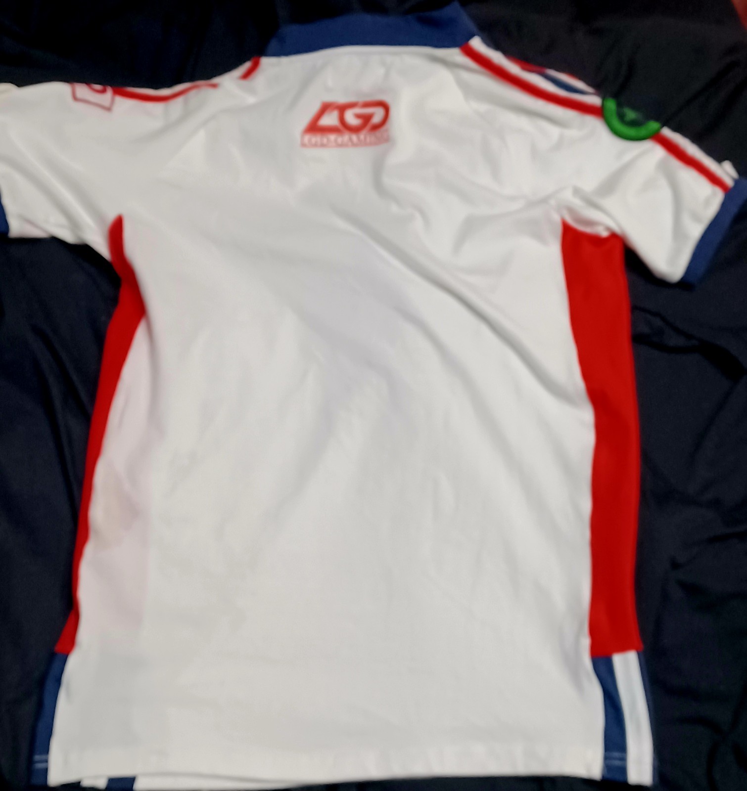 LGD-Gaming jersey, It features a zipper and a stand-up collar Size M