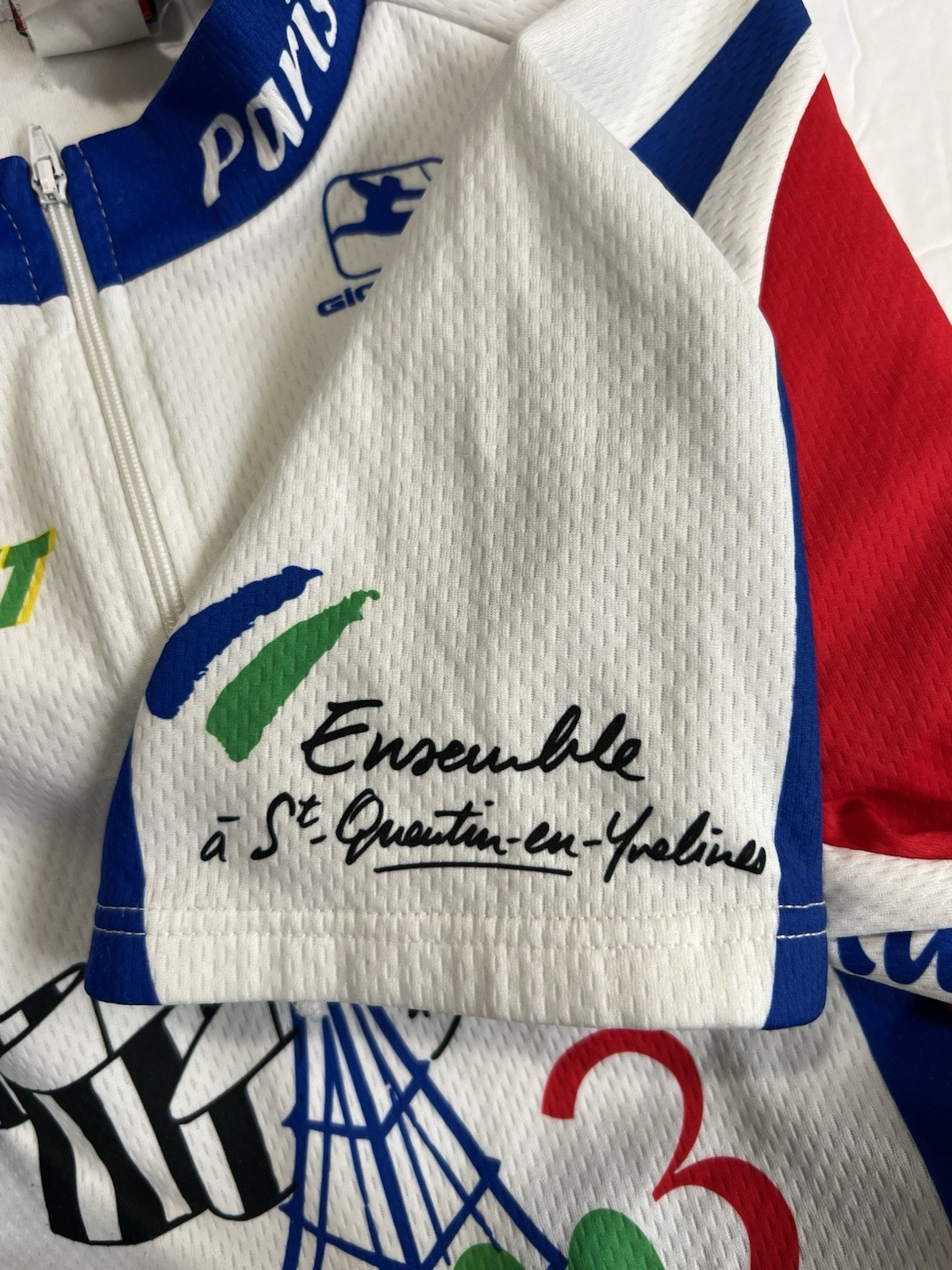 Vintage 2003 Giordana Paris Brest Bike Cycling Jersey Size Large