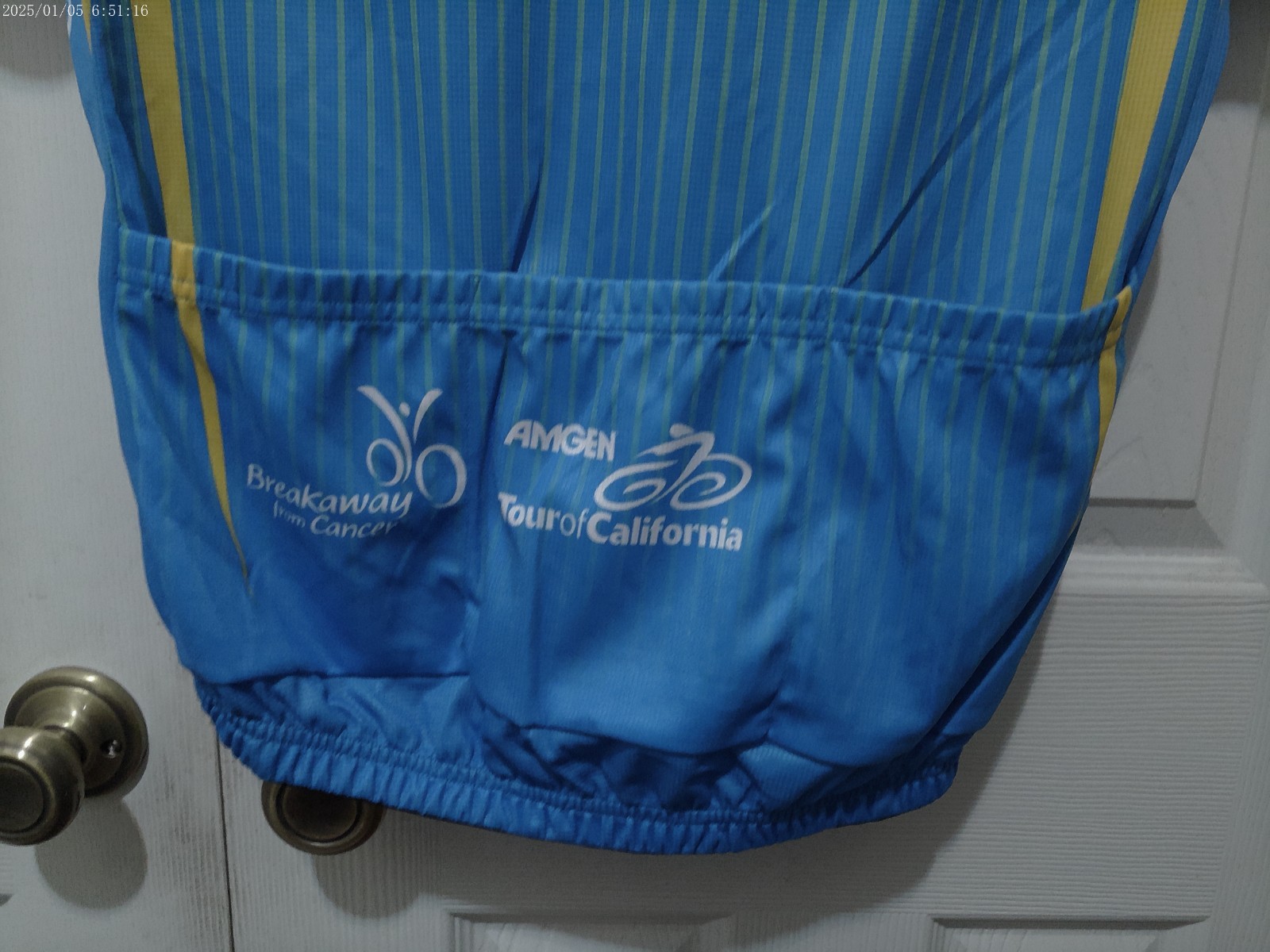 HINCAPIE 2010 Amgen Tour of California Cycling Jersey “Breakaway From Cancer”