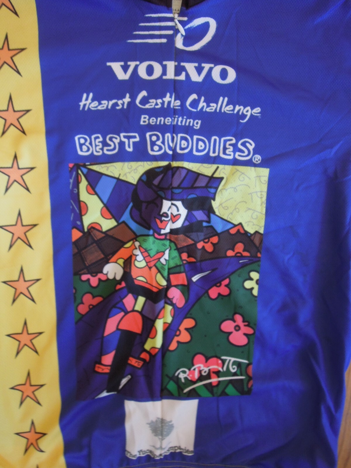 VOmax Volvo Hearst Castle Purple Full Zip Cycling Jersey-Haring-LG Best Buddies