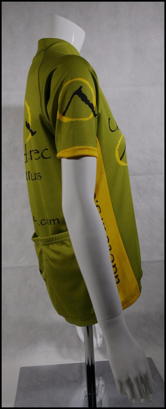 CUSTOM CHAMPION SYSTEM CYCLING JERSEY RACE RAGLAN ADULTS MENS S