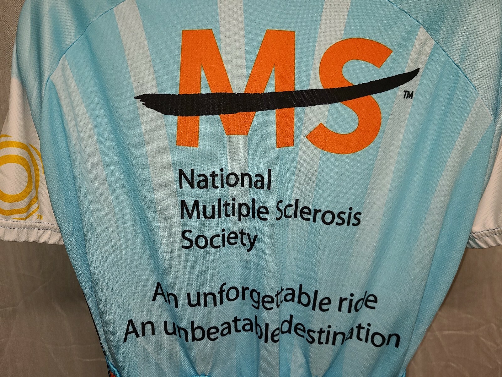 2008 Vomax Bike MS Ride Adult Large Blue Cycling Jersey