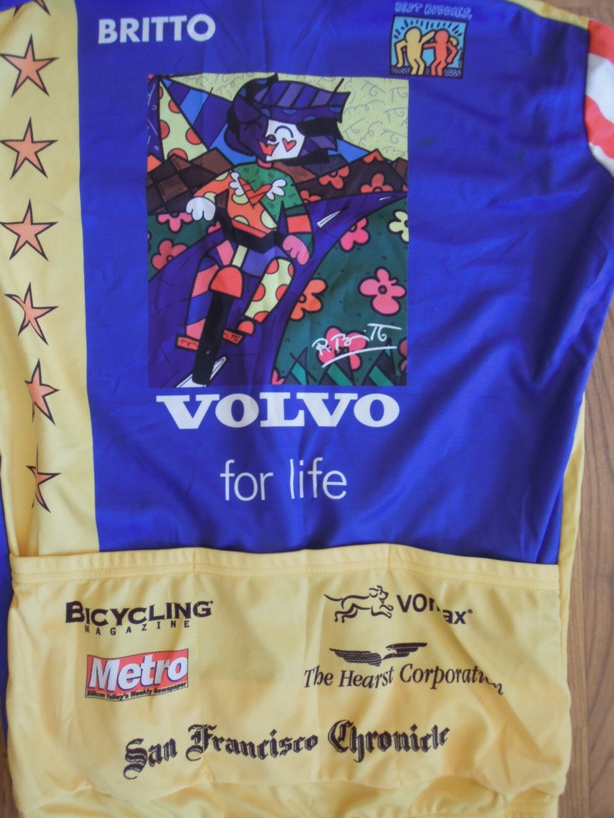 VOmax Volvo Hearst Castle Purple Full Zip Cycling Jersey-Haring-LG Best Buddies